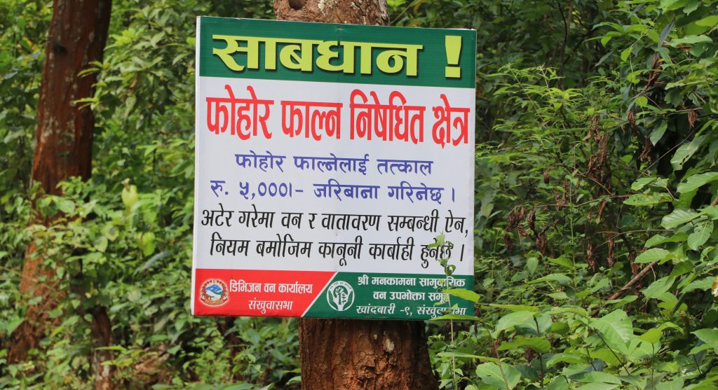 कोशी राजमार्गको वन क्षेत्रमा फोहोर फ्याँके पाँच हजार जरिवाना