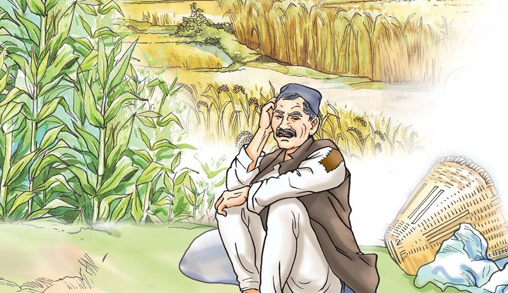 सरकारी योजनाबारे सुइँकै पाउँदैनन् किसान