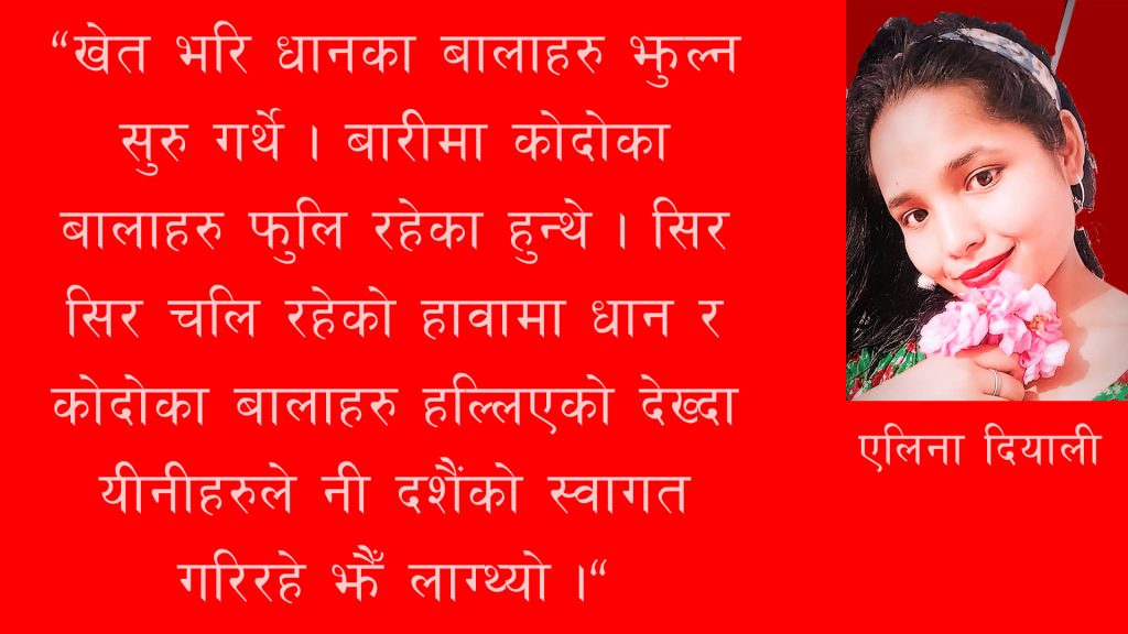 अहो ! दशैंका ती दिनहरु..