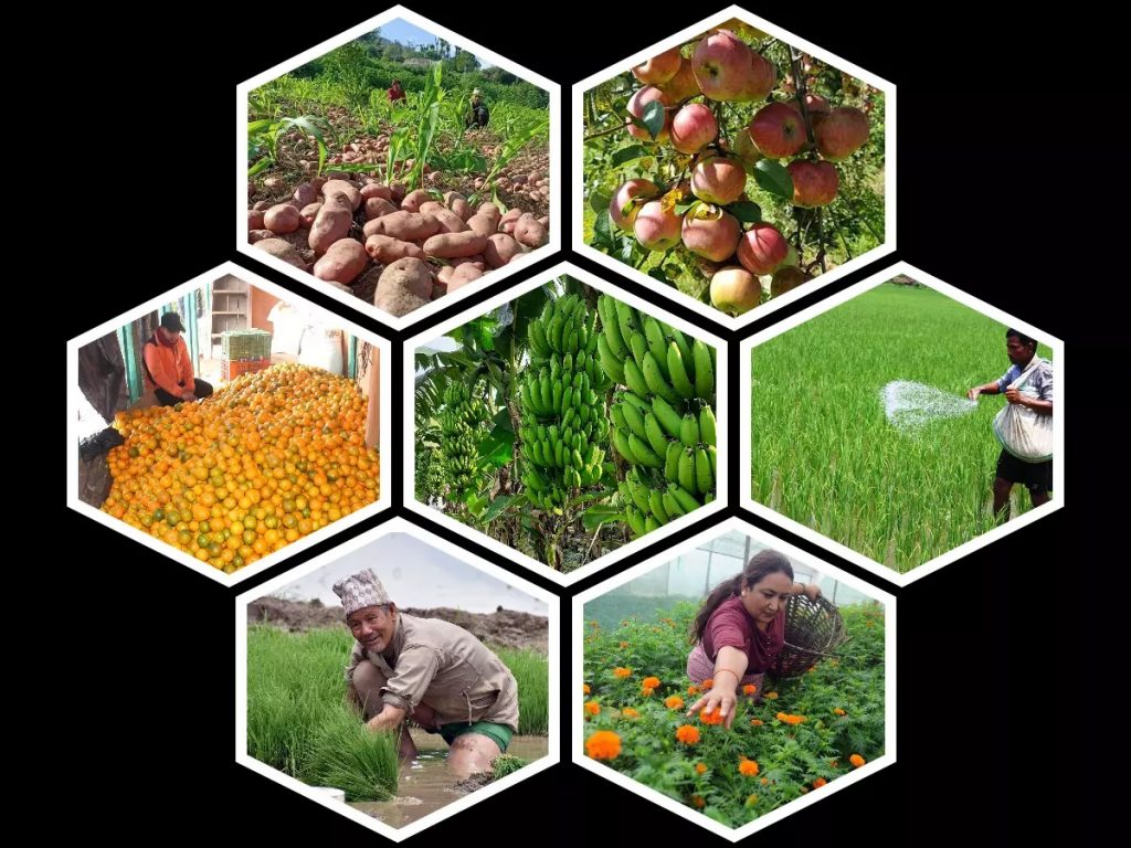 पूर्वाधार विकासको लाभ कृषि उत्पादनबाट लिनुपर्छ