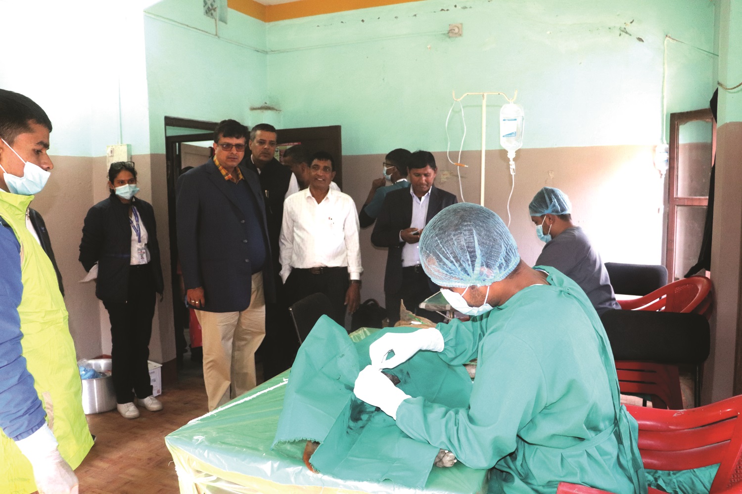 महानगरले १६ सय कुकुरको स्थायी बन्ध्याकरण गर्ने