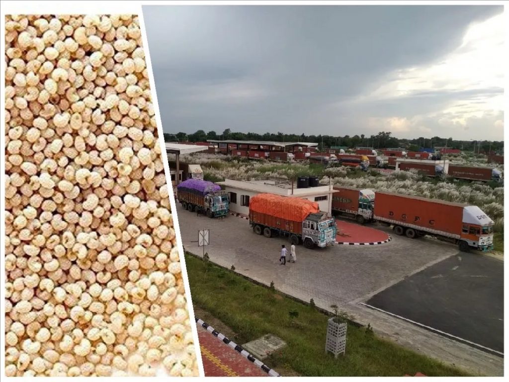 पोस्तादाना आयातको खेलमा व्यापारी