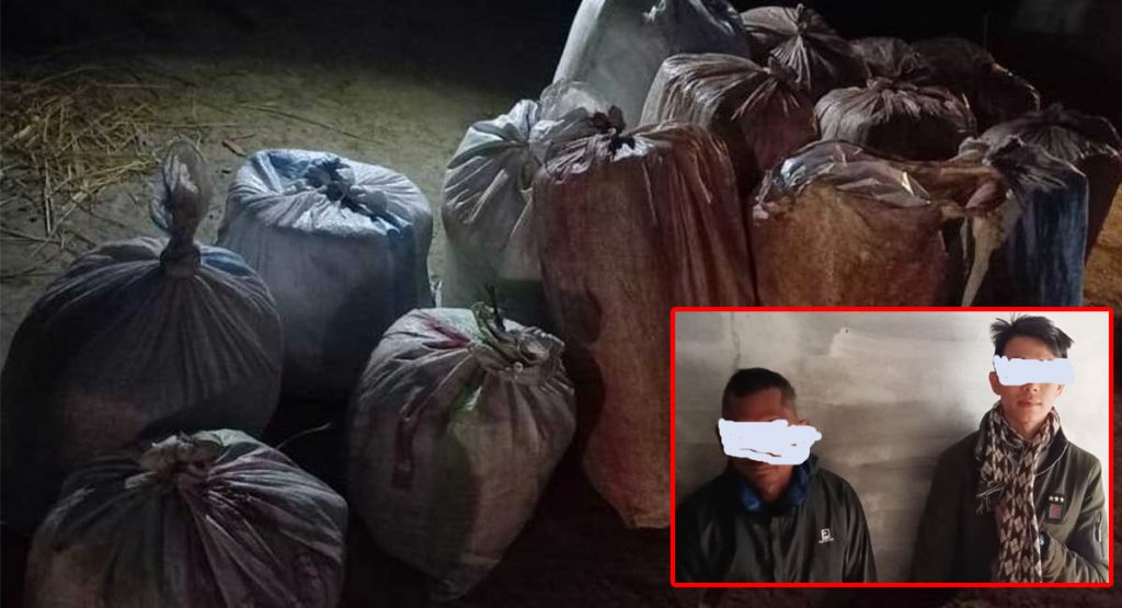 मोरङको रंगेलीबाट ३ सय केजी गाँजासहित दुई  पक्राउ