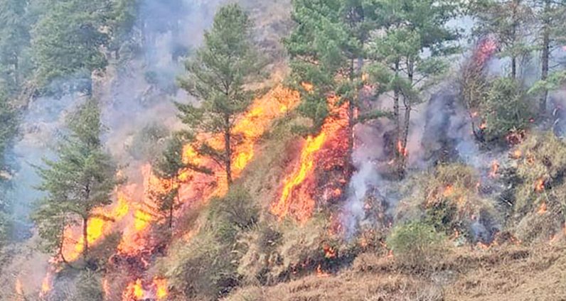 सोलुखुम्बुको जंगलमा तीन दिनदेखि डढेलो