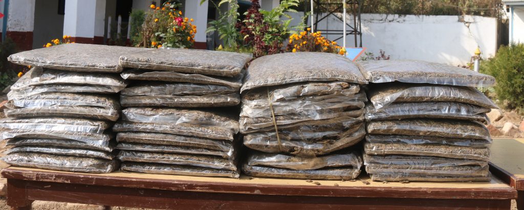 विराटनगर बसपार्कबाट ५० किलो गाँजासहित दुई जना पक्राउ