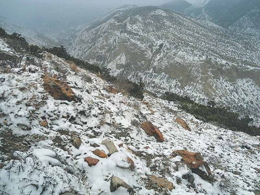 कोशी र गण्डकीका हिमाली क्षेत्रमा हिमपात हुने