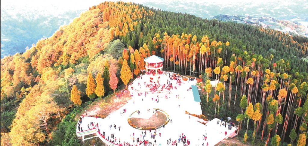 कन्याम र अन्तु भरिभराउ