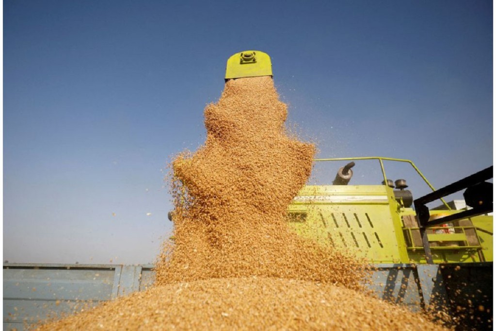 तोकियो गहुँको न्यूनतम मूल्य