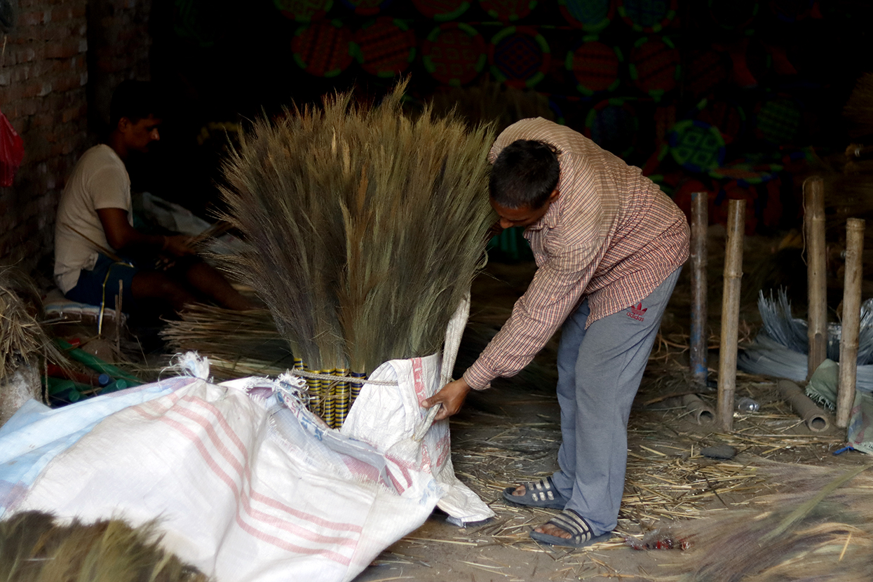 अम्रिसोको मूल्य बढ्दा किसान उत्साहीत