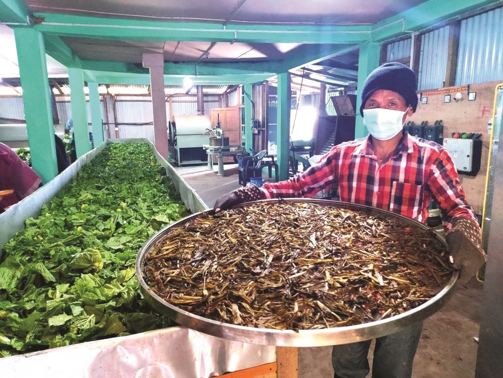 उत्पादनमा जोडिने स्थानीय सरकारको काइदा