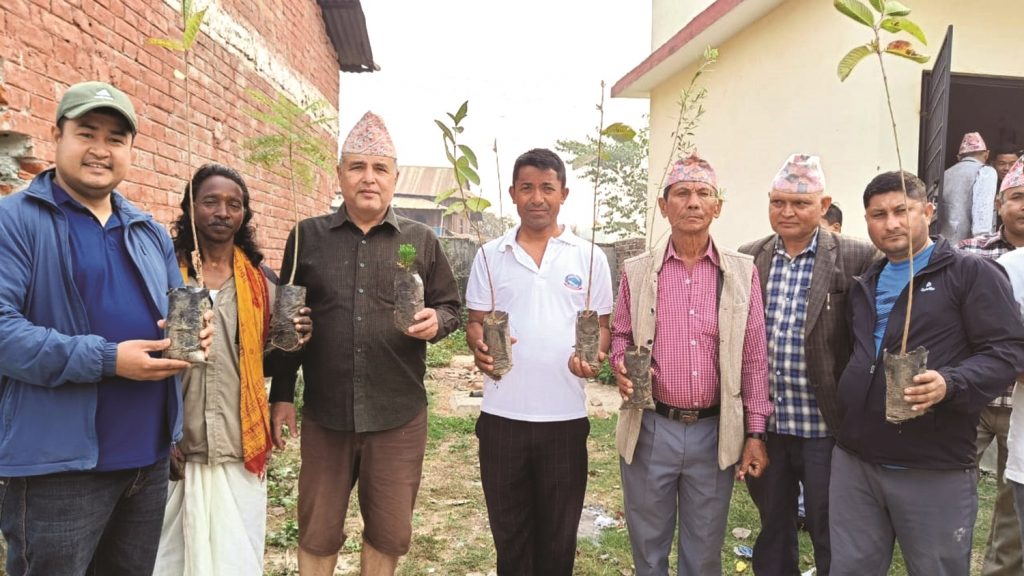 एमालेद्वारा वृृक्षरोपण र सरसफाई