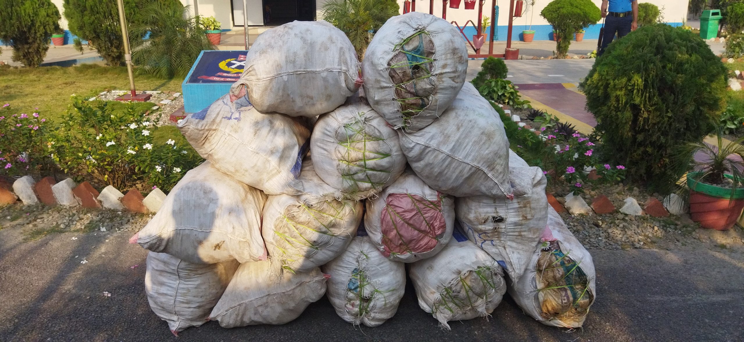 मकैबारीबाट तस्करीको १४ बोरा गाँजा बरामद