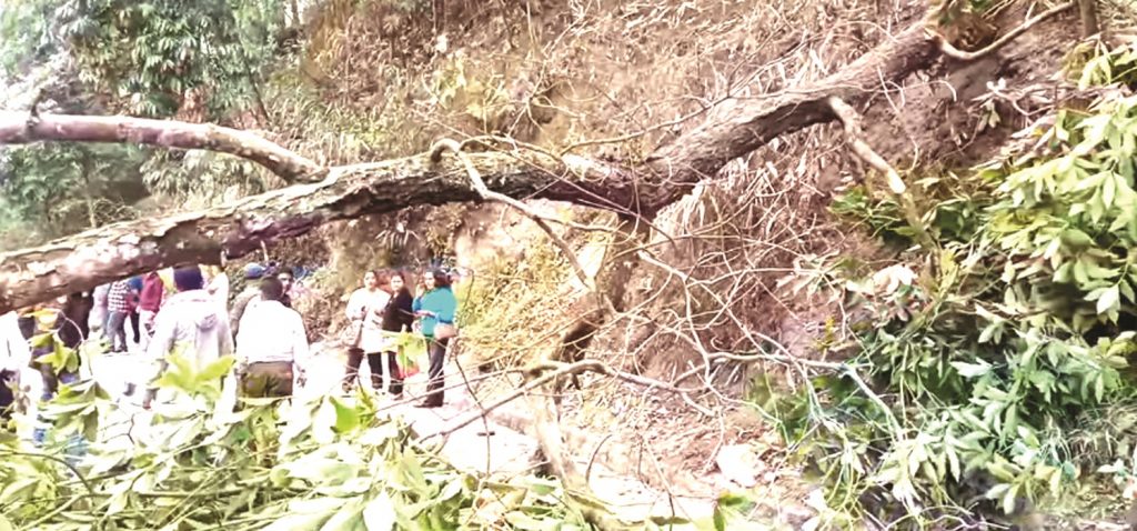 ओलीप्रति पहिचानवादी झनै आक्रामक