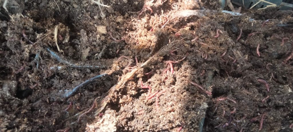 प्राङ्गारिक मलको तथ्याङ्क नै छैन सरकारसँग