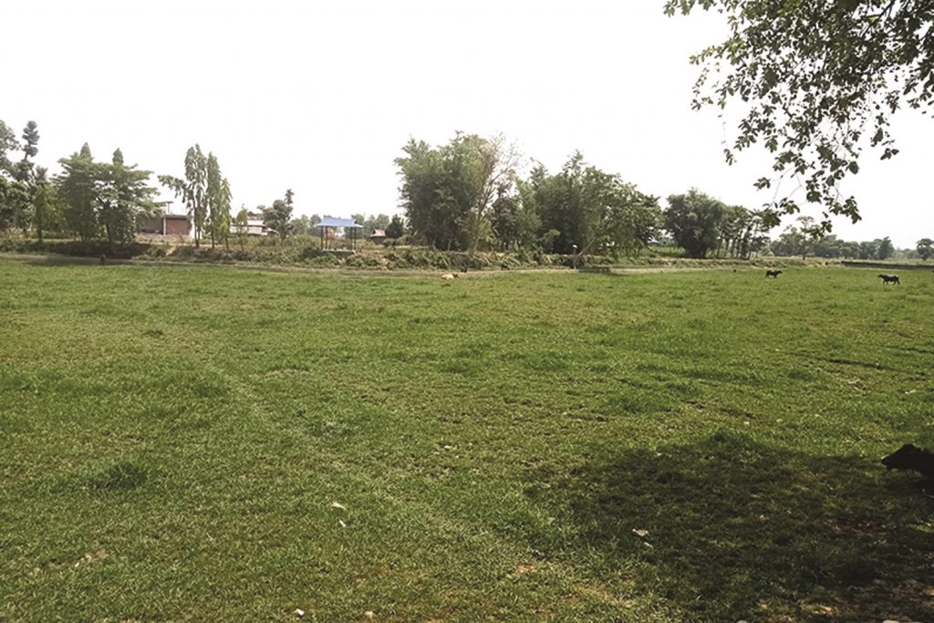 चौरमा परिणत भयो कमलपोखरी