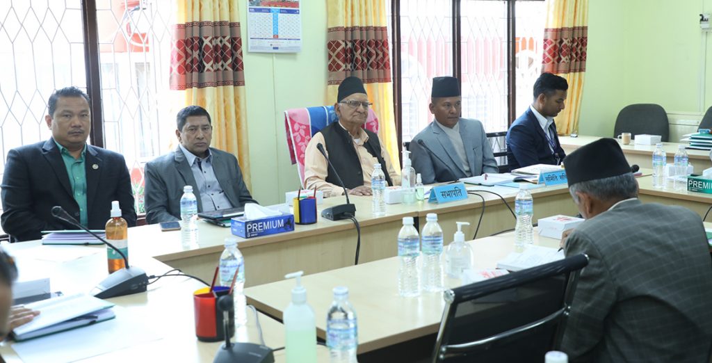 शरणार्थी प्रकरणमा सरकार कुनै दबाबमा पर्दैन : गृहमन्त्री श्रेष्ठ