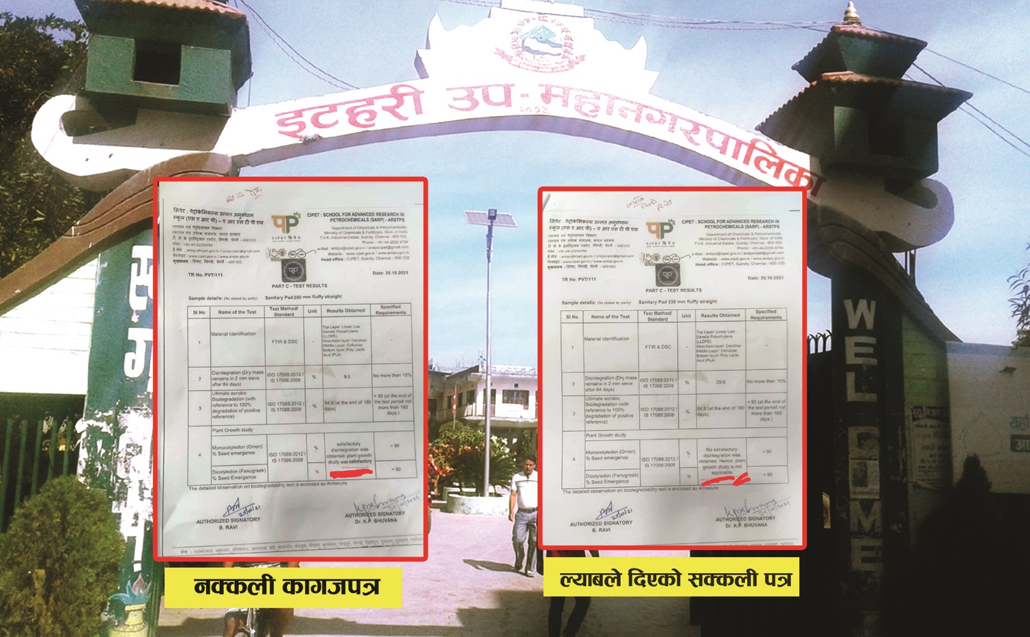 टेण्डर पार्न जस्मिन हाइजिनको किर्ते धन्दा