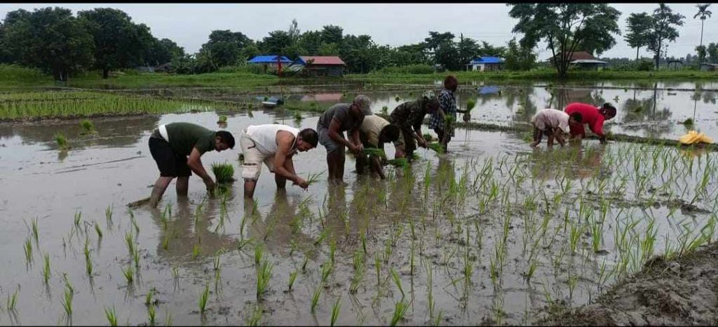 बम–बारुद त्यागेर विप्लवको ‘कृषि क्रान्ति