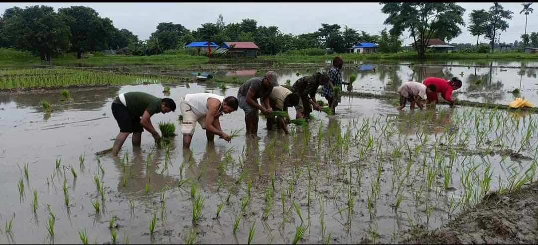 बम–बारुद त्यागेर विप्लवको ‘कृषि क्रान्ति