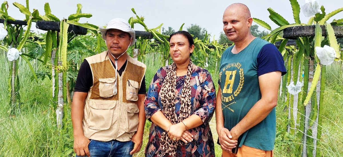 ड्रागन खेतीमा रमाउँदै एसपी