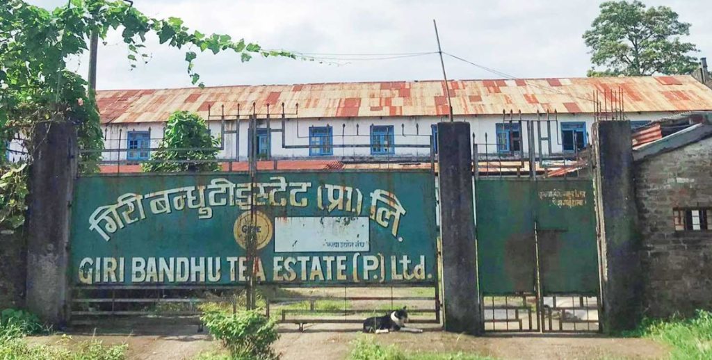 गिरीबन्धु टी इस्टेटमा कुकर बम र पर्चा