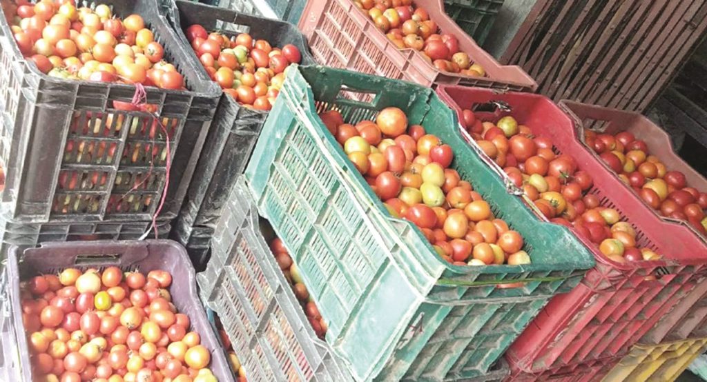 भारतमा माग बढेपछि नेपाली बजारमा महंगियो गोलभेडा