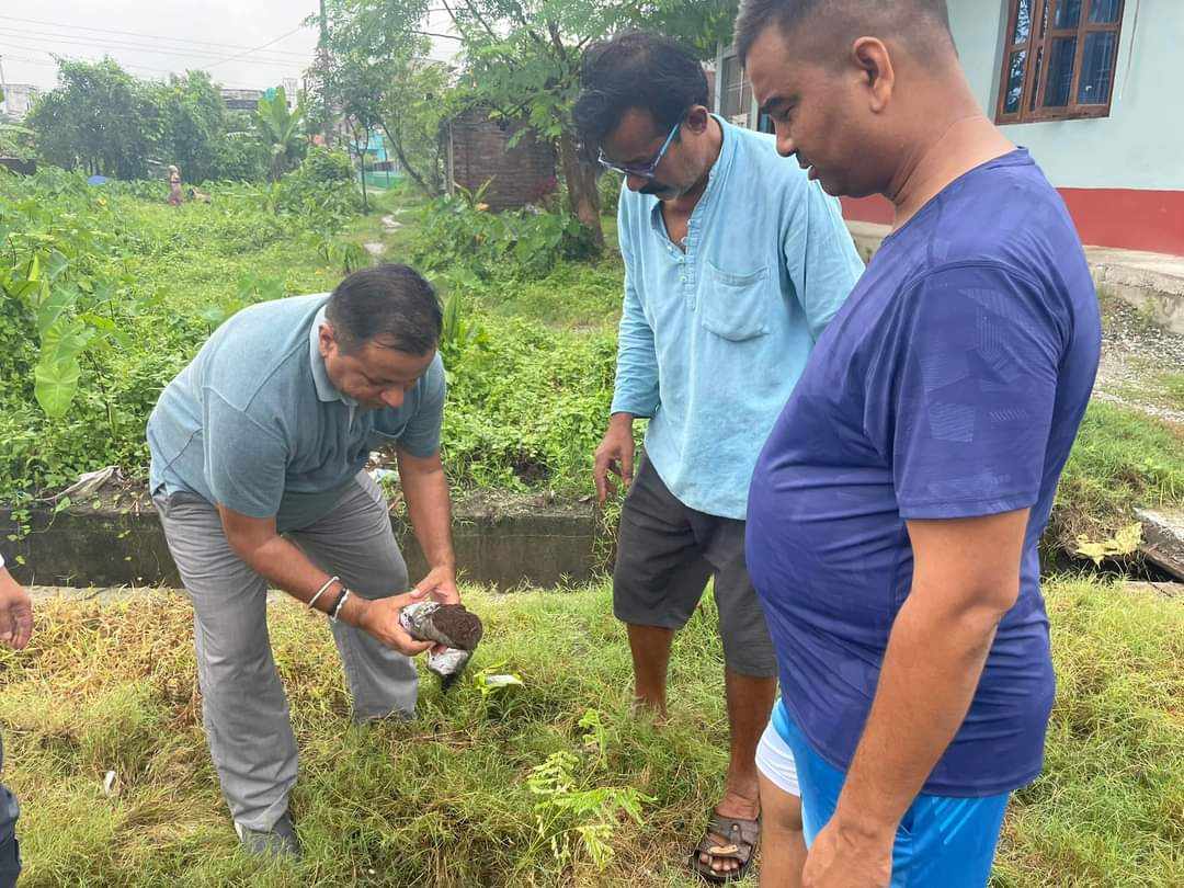 मंन्चद्धारा विराटनगरमा वृक्षारोपण