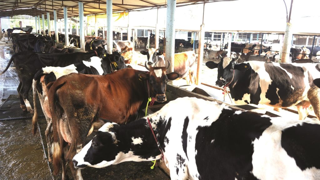 किसानको समस्या समाधान गर