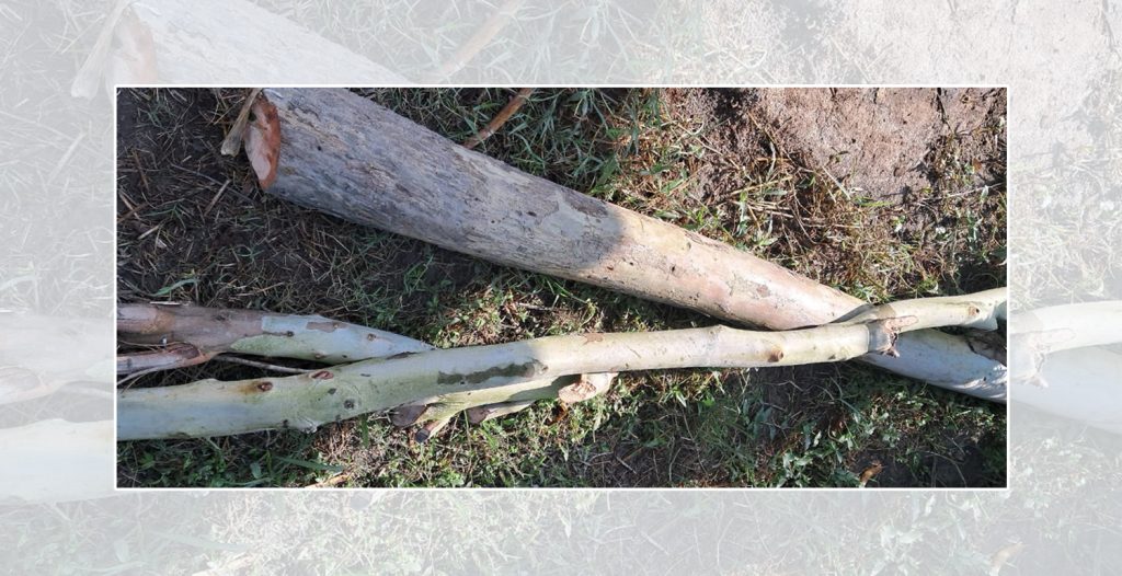 दशैंको मुखमा मसला हराएपछि…