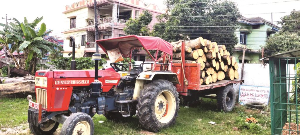 सरकारी वनको काठलाई निजीको भन्दै बेच्ने पक्राउ
