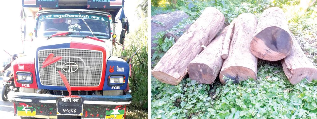 काठ तस्करीमा जोडिएकालाई जोगाउन चलखेल