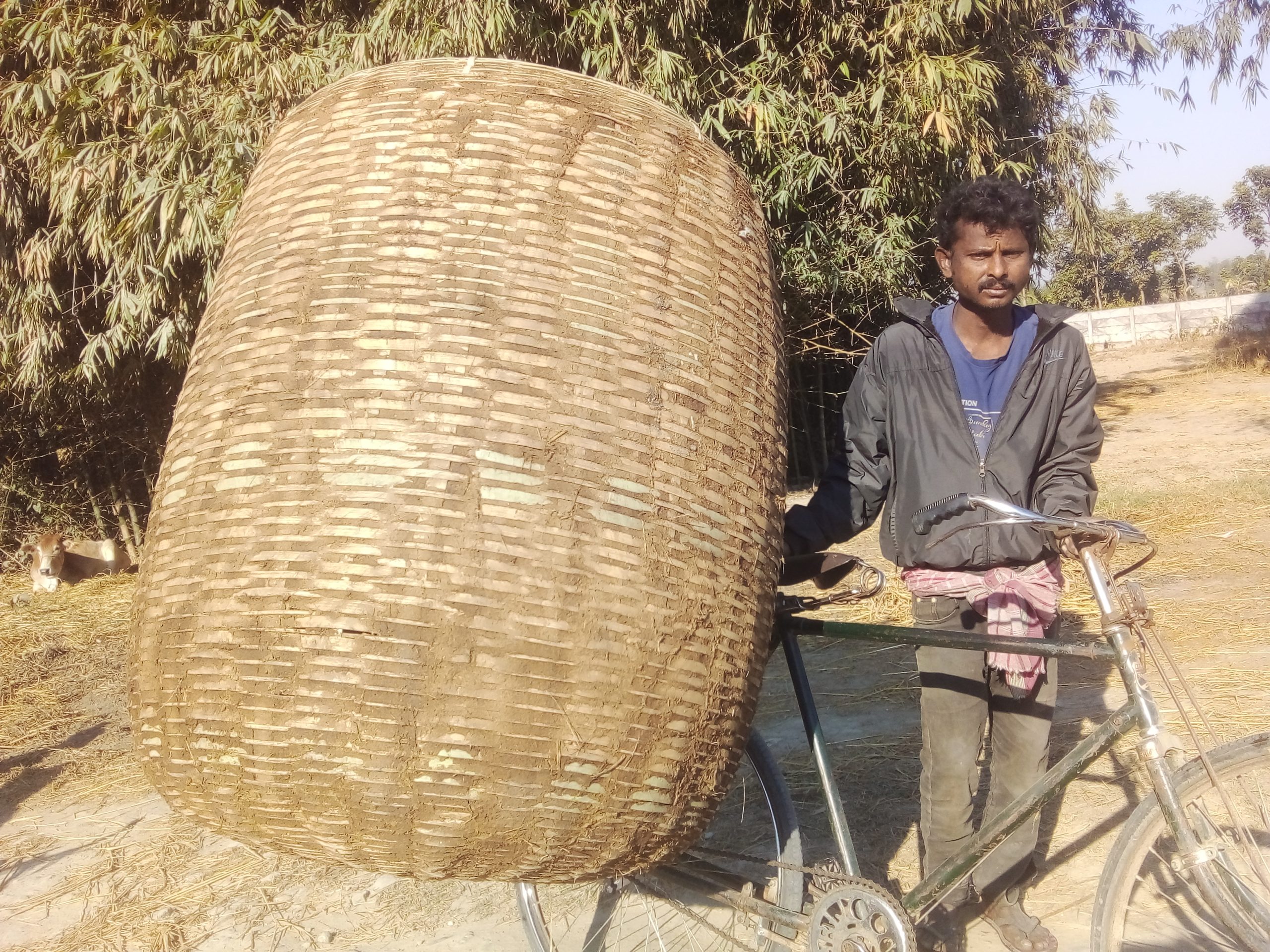 धान थन्क्याउने सिजनमा गाउँ पुग्नथाल्यो भकारी