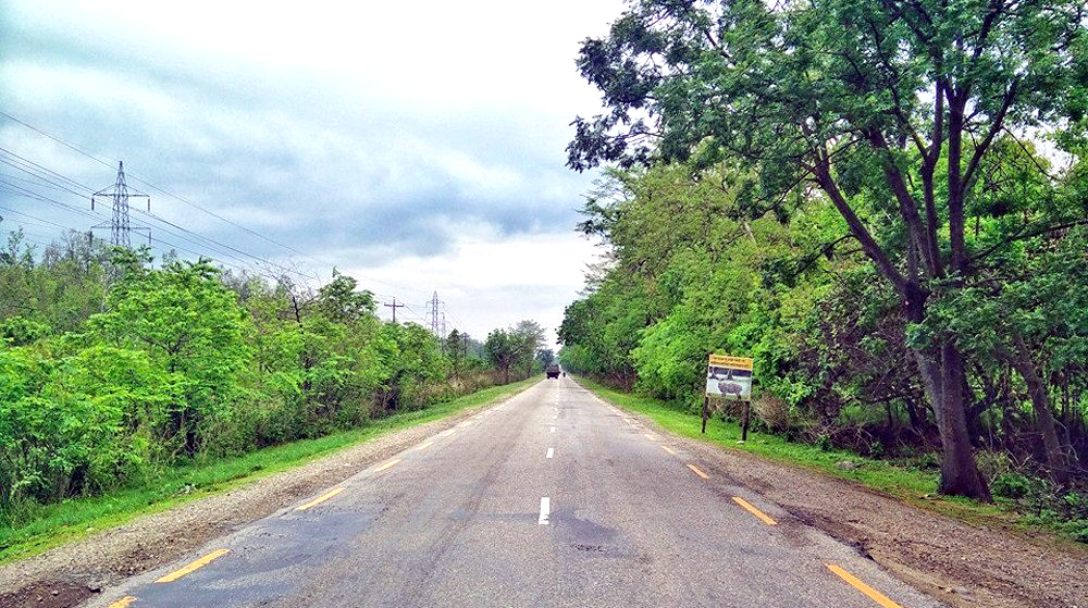 पूर्वपश्चिम राजमार्ग विस्तारको लागि सडक किनारका रुख कटान गरिने