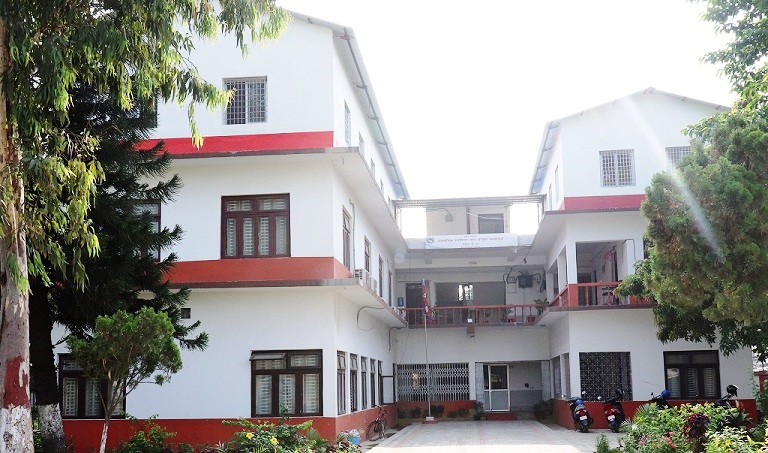 यातायातका कर्मचारी धमाधम सरुवा