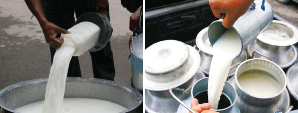 कोशीको दुधजन्य वस्तुको बिक्रीमा समस्या, बंगलादेश निर्यात प्रयास असफल