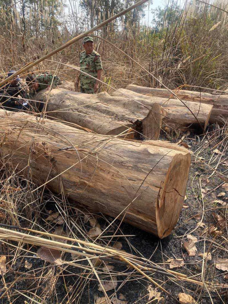 काठ तस्करीको मुद्दा कमजोर बनाउन चलखेल