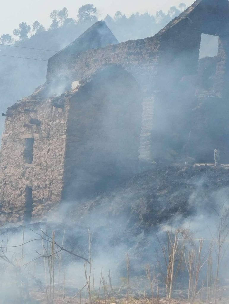 तेह्रथुमको जङ्गलबाट शुरू भएको आगलागी नियन्त्रण बाहिर, १६ घर जलेर नष्ट