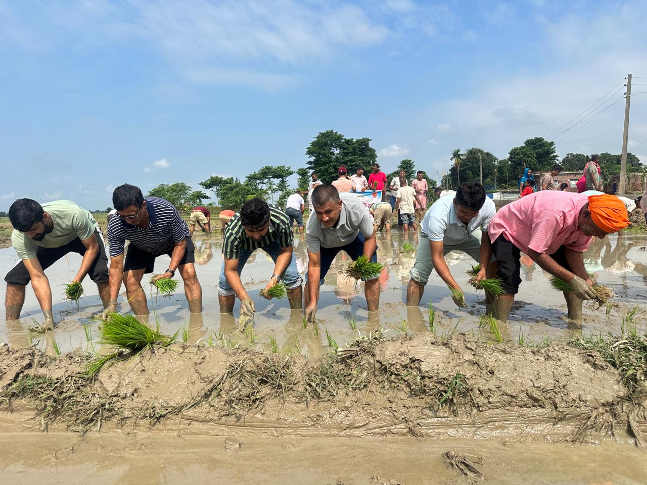 धान दिवसमा नेकपा एमाले विराटनगर महानगरले गर्‍यो रोपाई