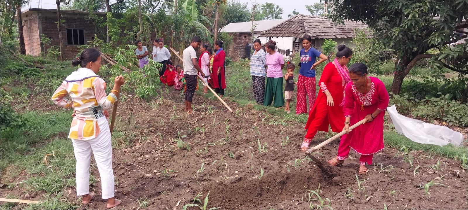 किसानलाई व्यवसायीक तरकारी खेतीको तालिम