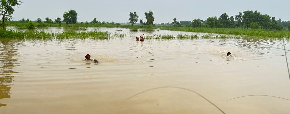 त्रियुगा खोलामा जलसतह सतर्कता तहभन्दा माथि