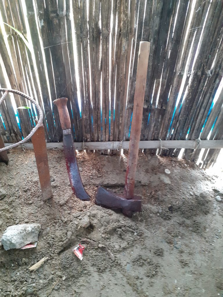 धारिलो हतियार प्रहार गरी हत्या
