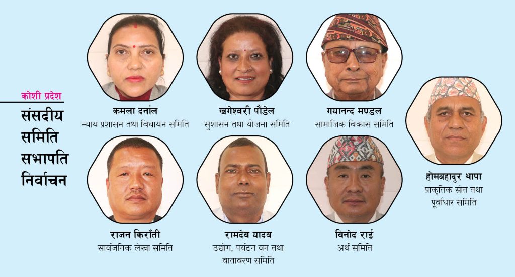 सातै समितिका सभापति निर्विरोध: आज सपथ