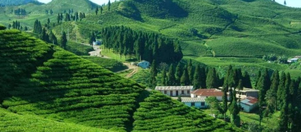 नेपाल घुम्न आउने भारतीय पर्यटकले पाँच हजार डलर ल्याउन पाउने