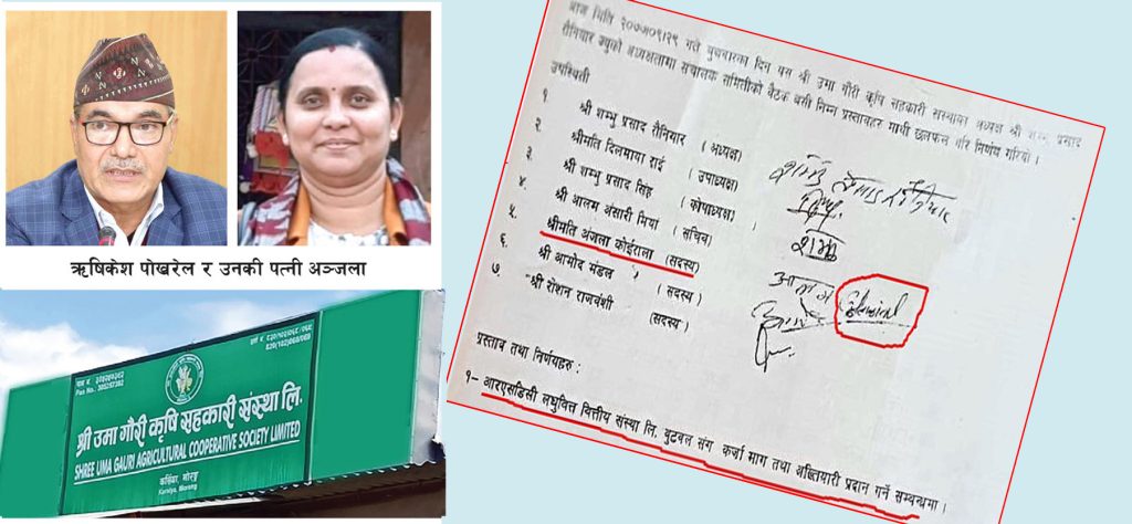 उमागौरीसहकारी ठगी प्रकरणः अदालतलाई भ्रममा पार्ने ऋषिकेशपत्नीको प्रयास