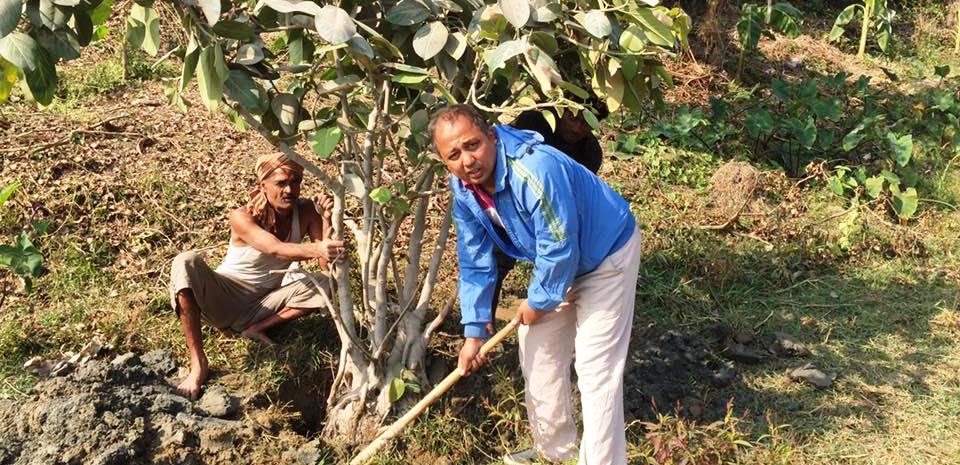 विराटनगरमा वृक्षारोपण : २७७ विरुवा रोप्न ४ लाख खर्च, पारुल क्षेत्री एक्लैले रोपे ५ हजार विरुवा