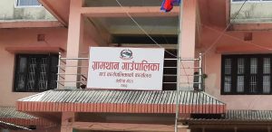 ग्रामथानले ६३ किसानलाई दुई टन उन्नत गहुँको बीउ वितरण गर्दै