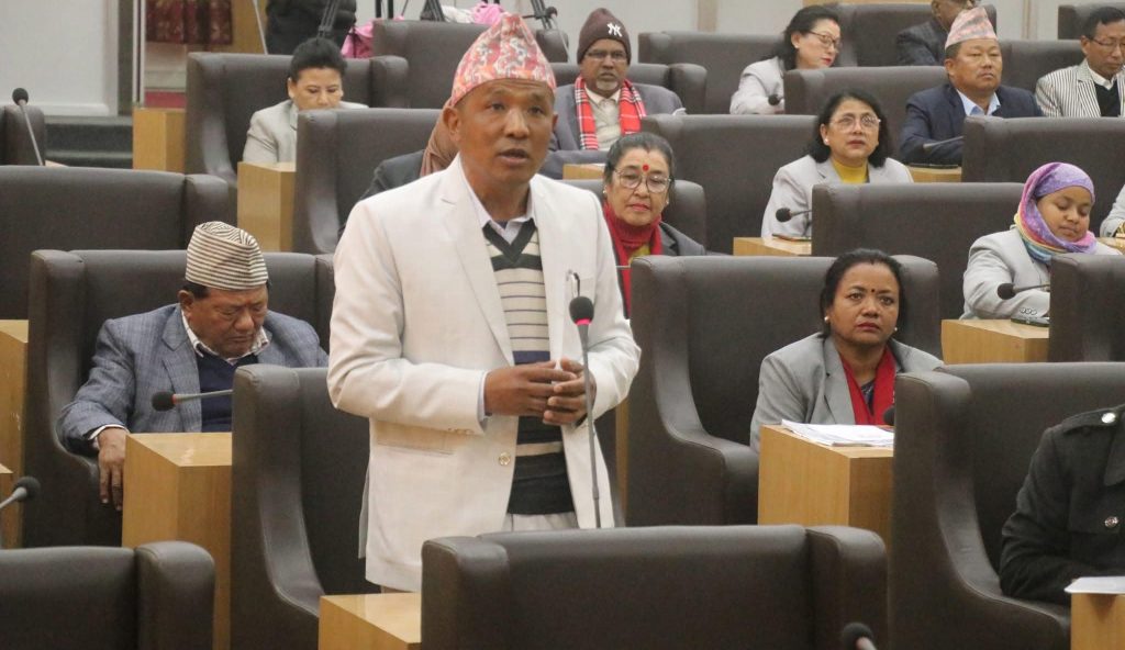 कोशी प्रदेशसभामा पीडितलाई क्षतिपूर्ति र किसानलाई मल दिन माग