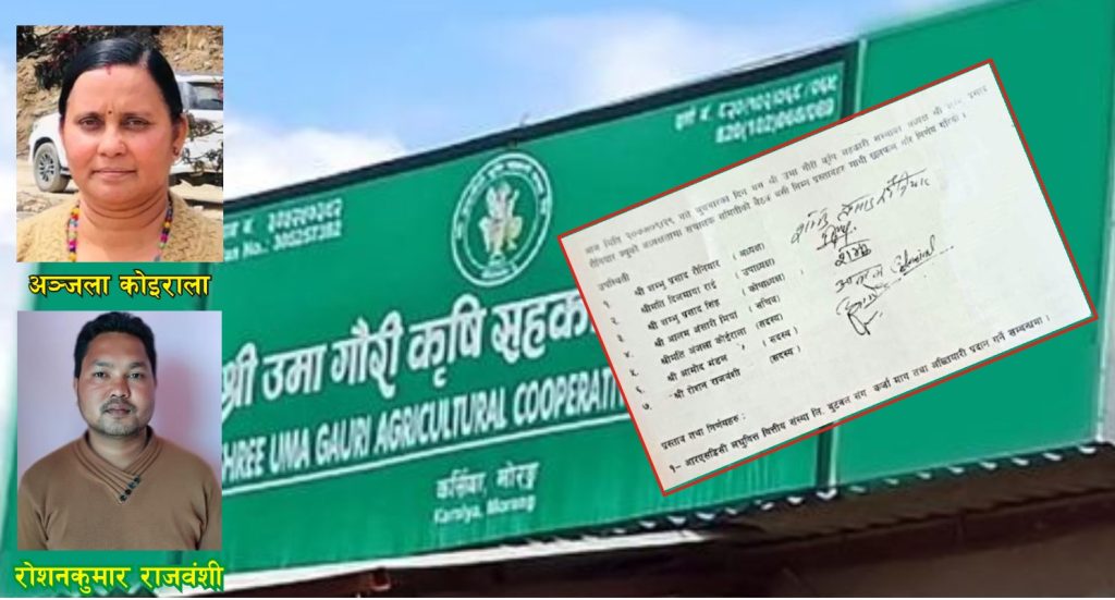 उमागौरी सहकारी ठगी प्रकरण : एउटै कसुरमा फरक–फरक आदेश