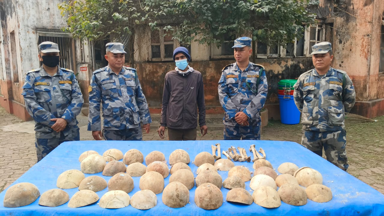 विराटनगरबाट ३८ वटा मानव खप्पर र १० थान मानिसको नलीखुट्टासहित एक जना पक्राउ