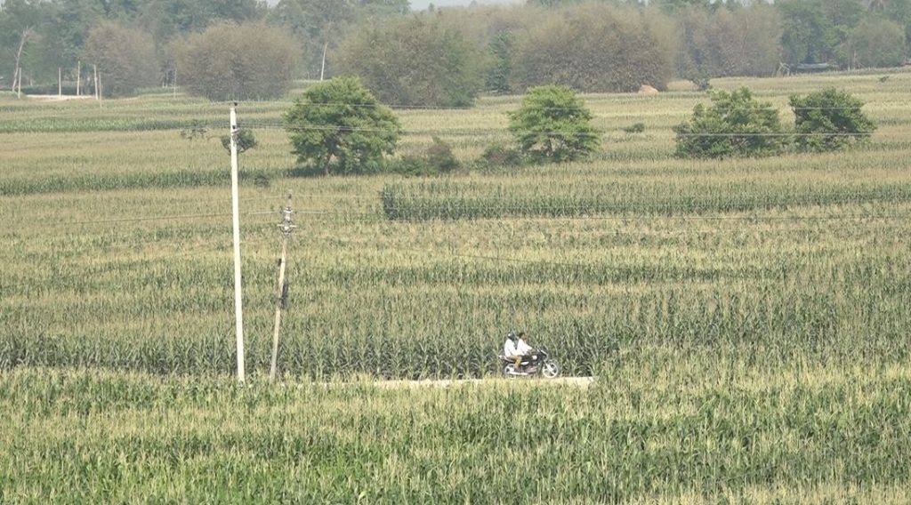 पालिकाले तिरिदिन्छन् किसानको विद्युत बक्यौता